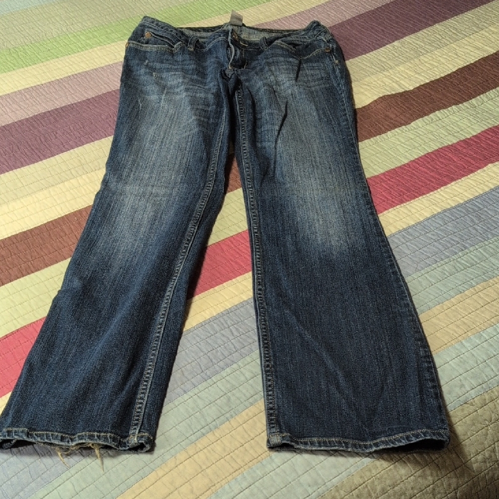 Arizona Jean Company Dark Blue Flare Jeans